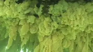 DB_TC_MAvideo1.mov