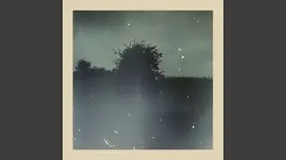 Stormfuld