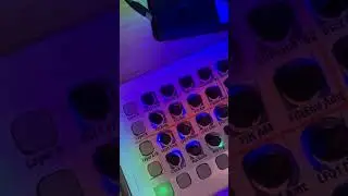 Livid Code + DSI Tetra
