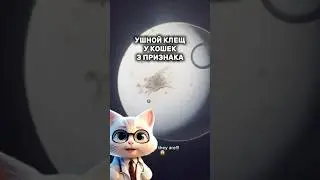 Ушные капли Harly. Артикул&mdash; #WW136726 &mdash; копируй и вставляй на WB.      #кошки #ушныекапли #ушнойклещ