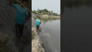 Teta Fishing | Huge Fish Catch in River #fishing