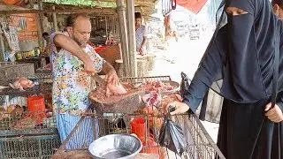 Big Layer chicken cutting skills at Roadside chicken market || Bangladeshi cutting skills