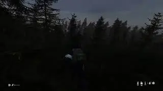Dayz w/friends