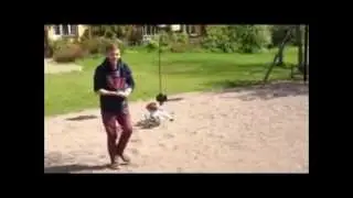 Flykick by ZcOpeZz | Edit