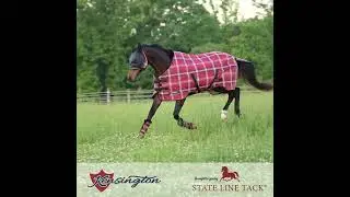 Kensington Flysheet