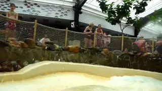 Center Parcs De Kempervennen - Wildwaterbaan