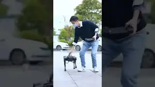 Who let the Robot Dog out.  #Dog #Robot #AI #instagram #pet #animals #funny video #viral video