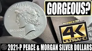 2021-P Peace and Morgan Silver Dollar Reviews in True 4K!