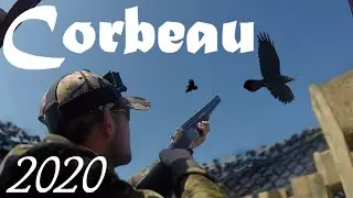 Chasse corvid&eacute;s 2020 - protections des cultures ! part.1 / Maxence Chasse