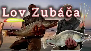 Lov Zub&aacute;ča/Cand&aacute;ta na rybku/Lov na plav&aacute;k/Lov Dravcov na Feeder/Lov na Pr&iacute;vlač/LOV VEĽK&Yacute;CH ZUBAČOV