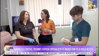 pet-stuff.ro | Spital Veterinar | Pasiunea pentru animalele exotice și cum să ai grijă de acestea
