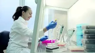 Достоверность показаний очевидцев (10 минут)