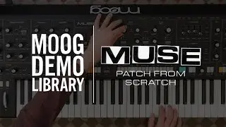 Muse | Patch From Scratch