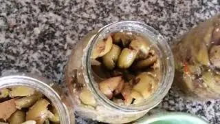 تصبير الزيتون المفشخ في الزيت زيتونه conserve les olives cassées à l huile d olive