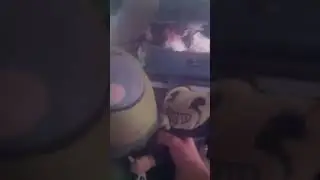 gordooooooo!!!!!