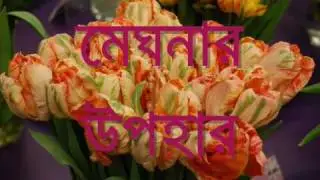 banglar bodhur dwitiyo jonmobarsiki