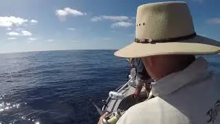 Fraser Island Offshore Fishing