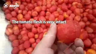 Steam peeling machine for tomato potato carrot peeling, Custom production capcaity 3~24 tons/hour