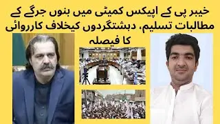 KP's Apex Committee Accepts All Demands of Bannu Aman Jirga  #Bannu #Rights #March #Blasting #terror