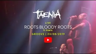 Taenia - Roots Bloody Roots (ft. Knario)