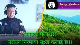 स्याउली पलाइछ। #Syauli palaichha #Premraja mahat #Bima kumari Dura and friends cover #JeewanGm