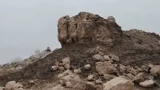 Bozor qala