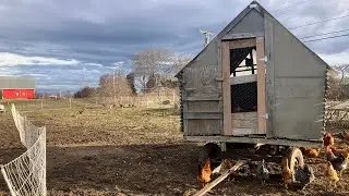Moving the hens and gas can hack!