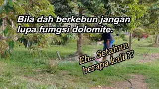 APA GUNA DOLOMITE TU
