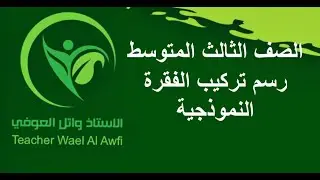 الاحياء الصف الثالث المتوسط  خطوات رسم تركيب  الفقرة النموذجية الفصل الثاني الجهاز الهيكلي