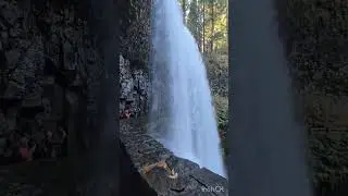 Silver falls hiking @ Nov