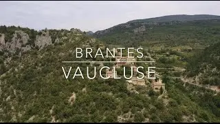 Brantes