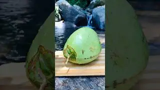 Amazing coconut cutting skills.🥰🌴🥥🔪 | coconut cutting.#satisfying