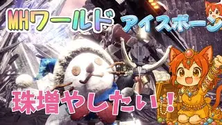 装飾品少な過ぎ【モンハンワールドアイスボーン】ワイルズと混じっちゃう【mhwib】