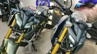 Yamaha MT15 V3 Standard Vs Deluxe Comparison | MT15 V3 | Which One Is Best? | @Bikerqueen