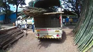Chattrapati Rajaram Timber Market || 緑 ゴールド || Green Gold || Rajaram Timber Market || HMVe Video