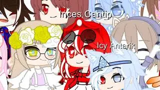 open QnA spesial 70+ subs and my birthday