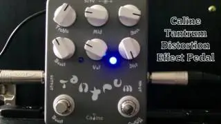 Caline Tantrum Distortion Effect Pedal Demo
