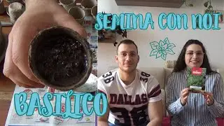 Caratteristiche e cure del BASILICO - SEMINA CON NOI