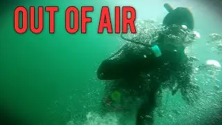 This Dive Went Wrong in Seconds