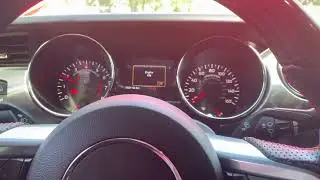 2015 Mustang Gt cold start/light rev/ engine bay