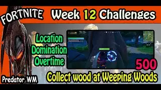Collect wood at Weeping Woods / Location Domination Overtime Challenges