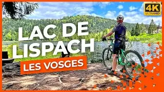 LES VOSGES | LAC DE LISPACH | #vtt  #vttxc #mtb #bike #cycling