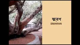 SMARAN