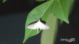 Instagram Videos Of August [HD]