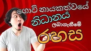 ගොවි නායකත්වයේ නිධානය ලබාගැනීමේ රහස Don't you know the secret of farming leadership #sinhala