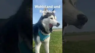 Denke wie ein Reicher! Geld, Gl&uuml;ck und Wohlstand anziehen #manifestation #ver&auml;nderung #erfolg #geld