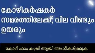 Kerala market. Chicken price will go up 😲. Egg price