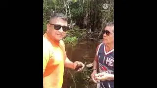 Puxuri parte 2 Amazonas