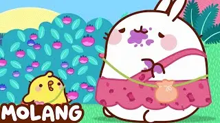 Molang & Piu Piu | Berry Picking Adventure | Funny Kids Cartoon | Cartoon Candy