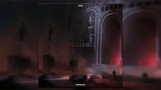 Akch & Vatallus - Resilience